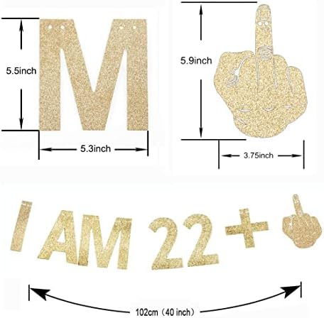 MorneDew Gold Gliter Eu sou 22+1 banner de papel para o 23º aniversário da festa de aniversário Funnydrops Funny/Gag