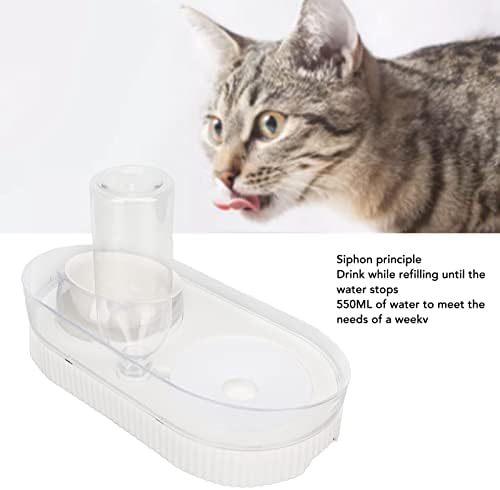 Tigelas de gato, limpeza fácil de limpeza de água de guarda de rail de guarda e tigela de alimentos e alimentação