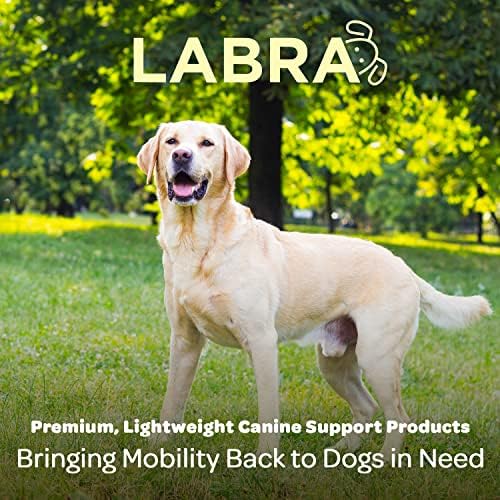 Labra Dog Truck Bed Leash amarrating System - coleira canina para caminhão ou cama de carro