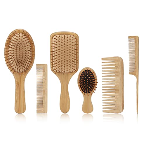 Kit de pente de escova de cabelo, 6 PCs Definindo o conjunto de pente de escova de cabelo, Phyllostachys