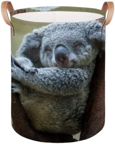 Koala fofa em cesto de lavanderia dobrável de árvores, cesto de lavanderia grande cesto de armazenamento dobrável