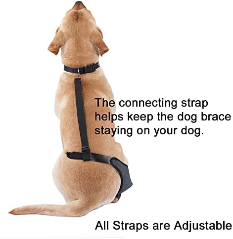 Surça de joelho wovomo para cães, suporte de joelho canino com suporte de metal com faixas de cotovelo de cão ajustável imobilizador de joelho Ajuda para manter a articulação estável, reduz a dor e a inflamação