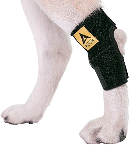 Agon® Dog Canine traseiro Junta da junta Brace embrulho com tiras de cachorro para a perna traseira protege