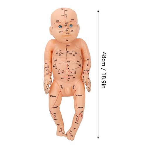 Modelo de acupuntura, modelo de massagem infantil Modelo de treinamento pediátrico Modelo de acupupoint