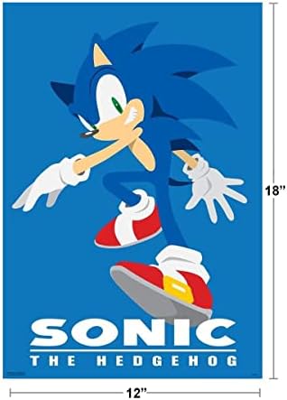 Pirâmide America Sonic the Hedgehog Personagem Sega Game Games Gaming Cool Wall Decor Art Print Poster