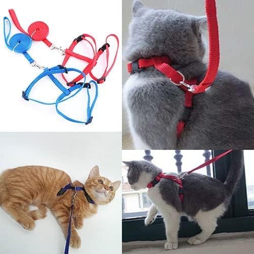 Arnês de gato de nylon ajustável/coleira/treino de colarinho de moda vermelha com bom
