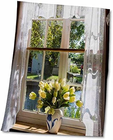 Janela 3drose com cortina de renda e tulipas, Holanda, Michigan, EUA. - Toalhas