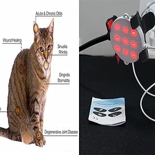 Cabing Red Light Laser Cold Laser Semicondutor LLLT Device de alívio para animais para animais
