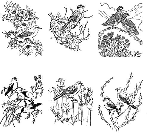 Livro para colorir adultos pássaros e flores selvagens FLONZ Designs vintage