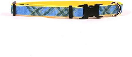 Design de cão amarelo kilt azul no colar de fita de grosta amarelo 1 de largura e se encaixa no pescoço