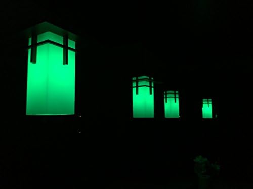 Lâmpadas incandescentes de Goodbulb - luz verde - 60 watts - resistente ao calor - lâmpada de cerâmica