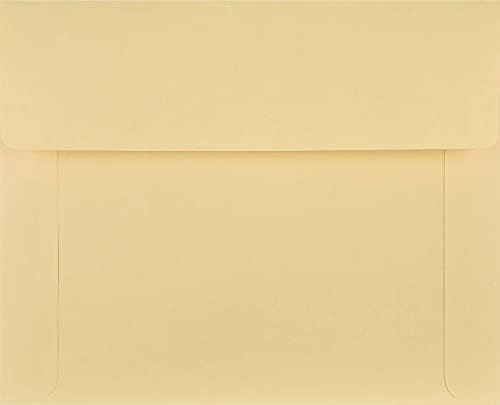 Qualidade Parque 89604 Envelopes de arquivamento, 9 1/2 x 11 3/4, 3 pontos, Buff, 100/caixa