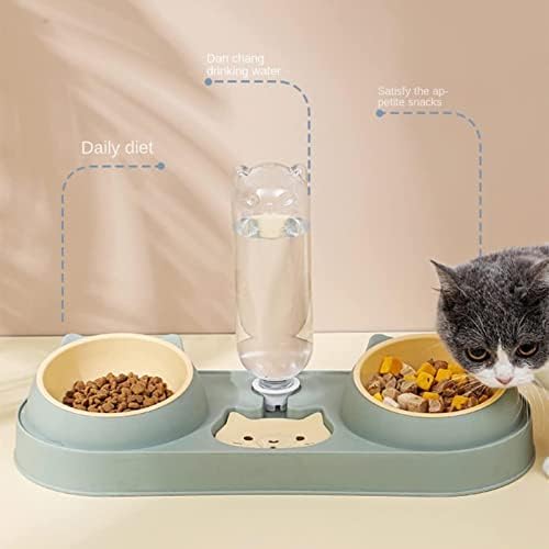Pet Double Dog Bowls com dispensador de água Tilted Food Lating para Pet Facilmente destacado molhado e seco tigela