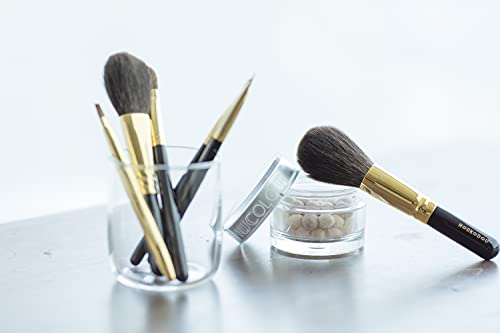 Escova de rosto Houkodou G-F4 Melhor escova de maquiagem para pó do Japan Brush Maker