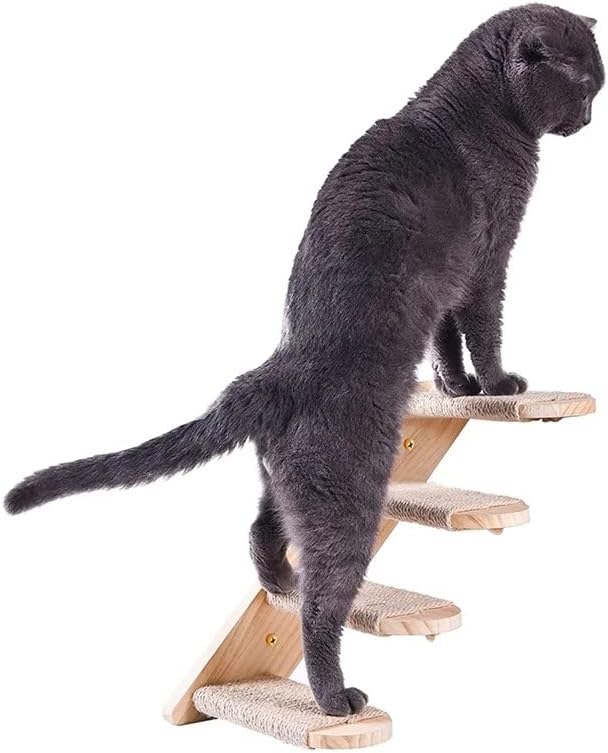 Lepsjgc Cat Sheld Pasta de parede Montada com a escada de gato com plataforma de arranhões