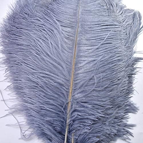 10pcs/lote 15-70cm Feathers de avestruz cinza para artesanato pluma Diy Grandes penas de avestruzas