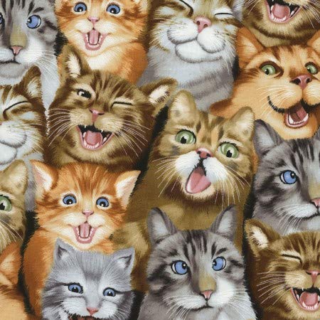 'Nugglebuddy novo! Microwavable Humor Heat & Aromaterapia Pacote de arroz orgânico para amantes de gatos e gatinhos!