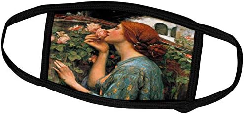 3drose VintageChest - obras -primas - Waterhouse - Cheiro de rosas - máscaras faciais