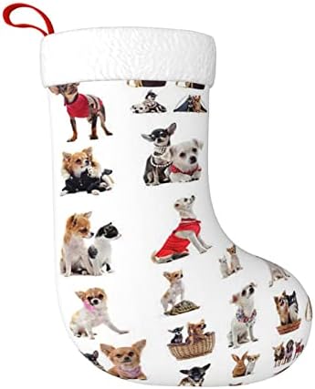 AABSTBFM fofo chihuahua pug padrão meias de natal lareira meias penduradas para a família Decoração de Natal
