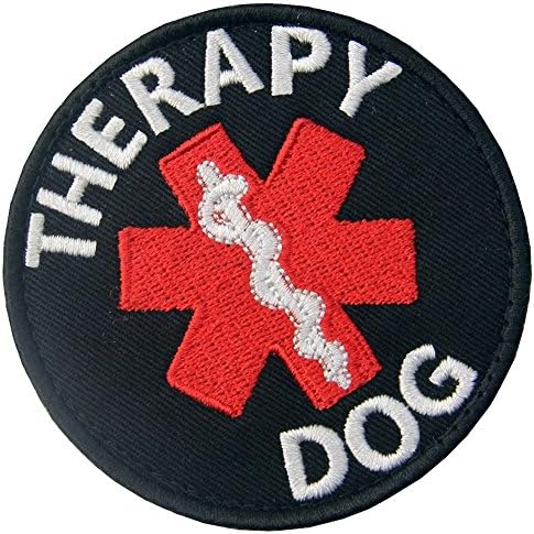 Cão de serviço EMS Medic Paramédico Estrela da Vida Terapia Dog Dogs/aproveitam o emblema Bordado