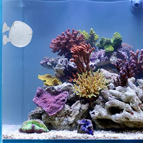 Housoutil Aquarium Plants Plantas de vidro Tigela de peixes 6 PCs Aquário alimentador de vermes vivos Red Cone