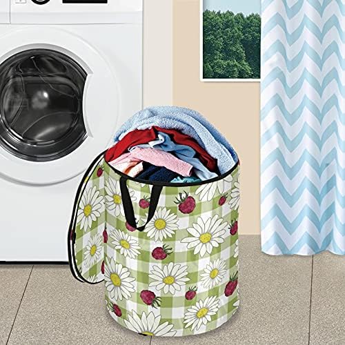 Camomile Flower framboesa Pop -up Laundry cesto com tampa de cesta de armazenamento dobrável Bolsa de roupa dobrável