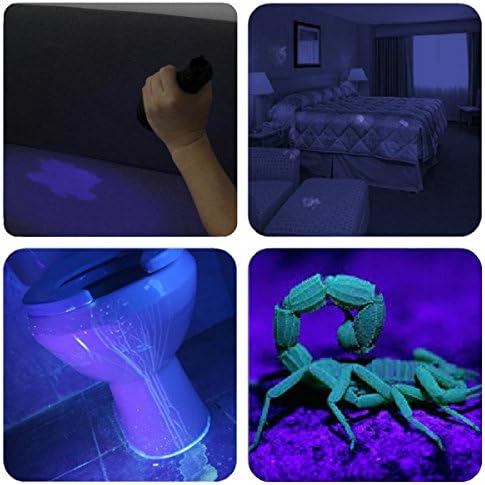 Vansky Black Light UV lanterna, Blacklight 12 LED e 21 Detector de urina LED para urina de cachorro/gato/animais