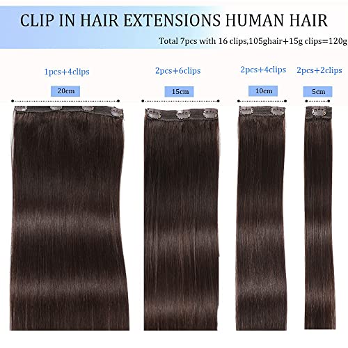 Extensões de cabelo castanho escuro cabelos humanos reais ， 120g 7pcs Extensões de cabelo