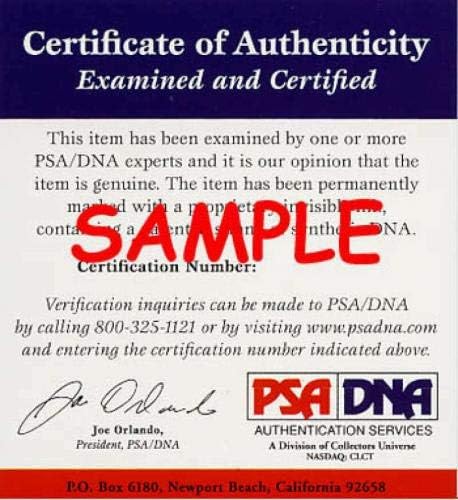 Steve Garvey PSA DNA assinado 8x10 Photo Dodgers Autograph - Fotos autografadas da MLB