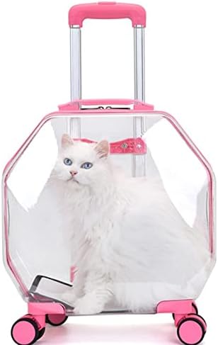 Caixa de gato de gato de gato de palha de palha 360 ° Saco de transporte transparente panorâmico