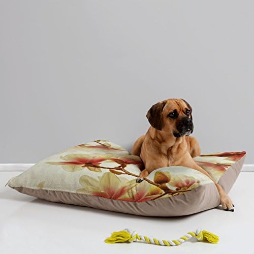 Deseny designs Shannon Clark Carnival Cosmic Pet Bed, 40 por 30 polegadas