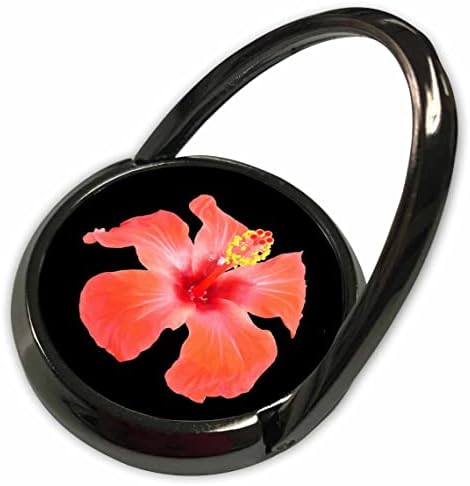 3drose vermelho vetor de hibisco isolado arte botânica - anéis telefônicos