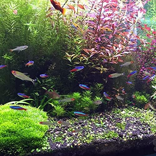 22 Pacote de peixes artificiais Plantas, plantas para aquário, simulação de plantas aquáticas,