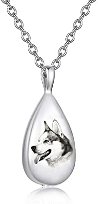 Dotuiarg Pet Memorial Urna Colar para joias de jóias de jóias de cães de cão de gato gravado Jóias de lembrança