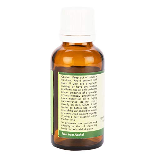 R V Essential Pure Anis Essential Oil 5ml - Pimpinella anisum