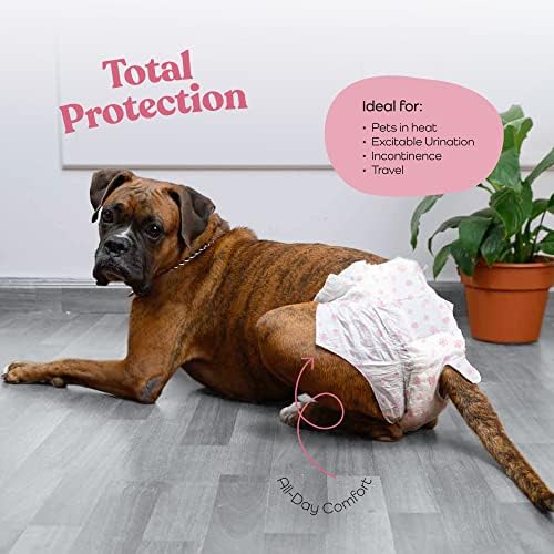 Fraldas de cães super absorventes - fraldas de cachorrinho descartáveis ​​de 50 pacotes - Tecnologia de gel de