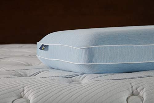 Serta Perfect Sleeper Graphite Infused Memory Foam Pillow, tradicional de grandes dimensões, 1