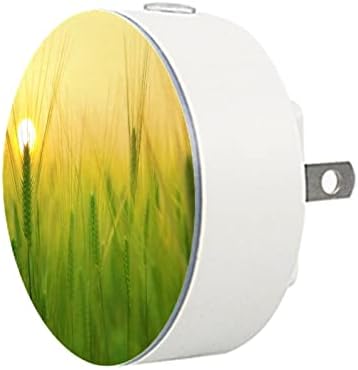 2 Pacote de plug-in Nightlight LED Night Light Field Wheat Agriculture com o Dusk-to-Dawn para o quarto