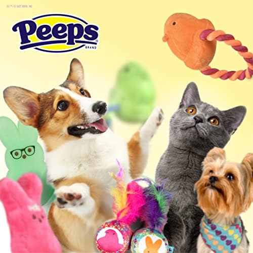 Peeps para animais de estimação Brinquedos de coelho para cães, flor rosa, tamanho médio | Maneira divertida