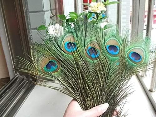 Xucus 2017 1000pcs Natural Peacock Feather 25-30cm Decoração de roupas de plumagem artesanato