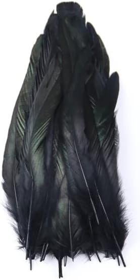 Zamihalaa - 25-30cm de galo de cauda de cauda para artesanato caseiro de carnaval decorativo hat máscara de