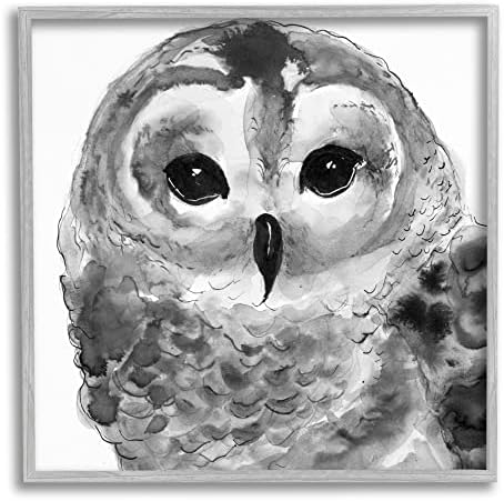 Stuell Industries Tranquil Barn Owl Bird Face Retrato Pintura, Design de Patti Mann