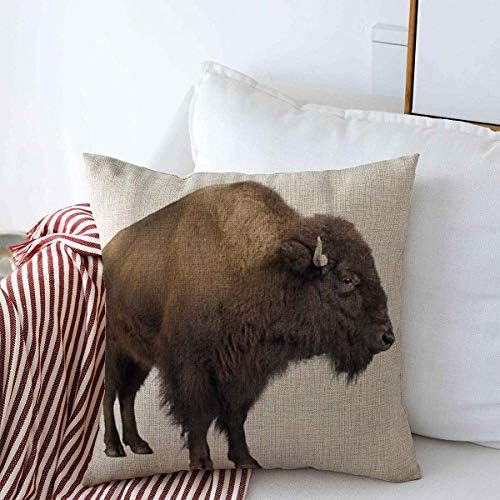 Tampa de travesseiros de arremesso de 18 x 18 polegadas búfalo bois bison front white animais animais animais