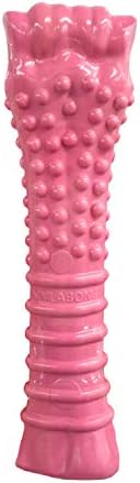 Nylabone Power Mastigar texturização de câncer de mama rosa Toy Chew - Too de cachorro resistente e