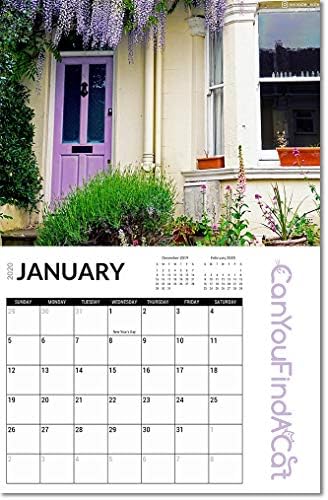 Canyoufindacat 2020 calendário de parede de 12 meses - belas fotos, diversão, colorida, gatos,