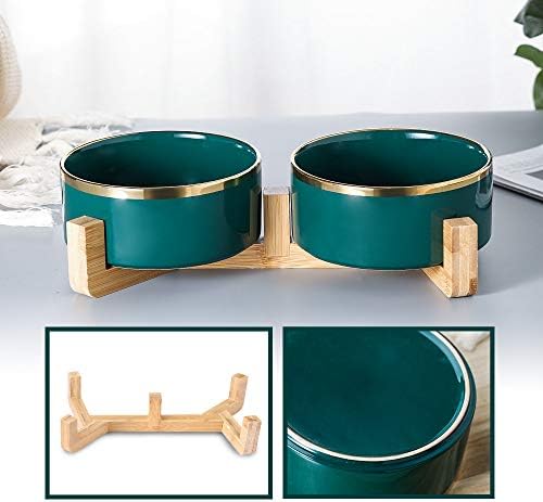 Prato de tigela de cão de gato de cerâmica de ouro verde com madeira sem derramar alimentos para