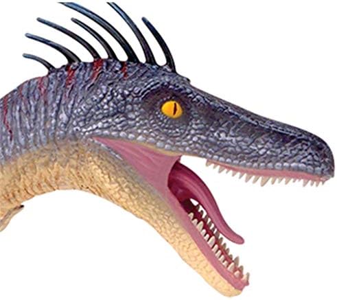 Modelo de anatomia de dinossauros da Visão 4D Liushi - Modelo de Anatomia de Velociraptor - Modelo de Ensino