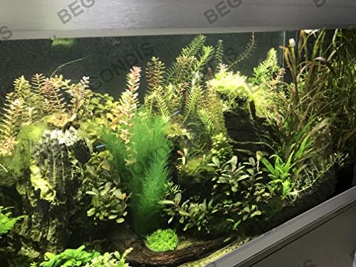 Decorações de aquário Begondis 3pcs Tanque de peixe Plantas artificiais de água verde feitas de tecidos