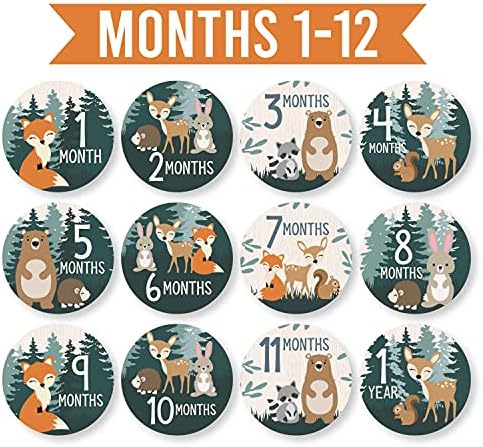 20 adesivos mensais do bebê - adesivos de marco mensal para bebês, adesivos mensais de bebê,
