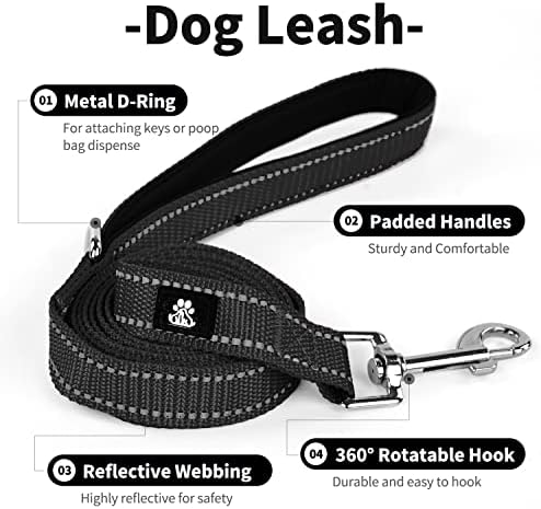 Ivy & Lane 2 Pack Dog Leash Para cães grandes pequenos, cães altamente refletivos de nylon de 5 pés com